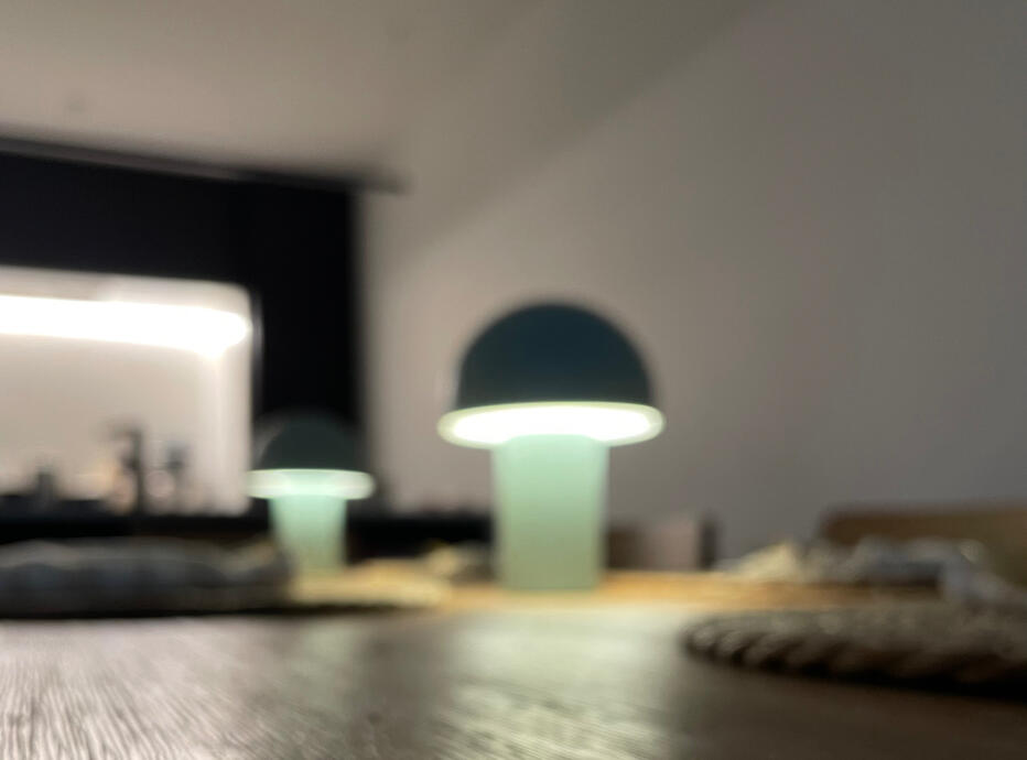 THE DINING AREA